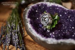 deep purple, sparkles, fresh lavender sprigs